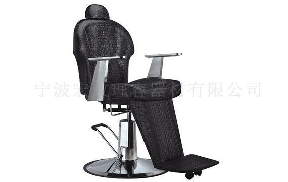 HZ8716